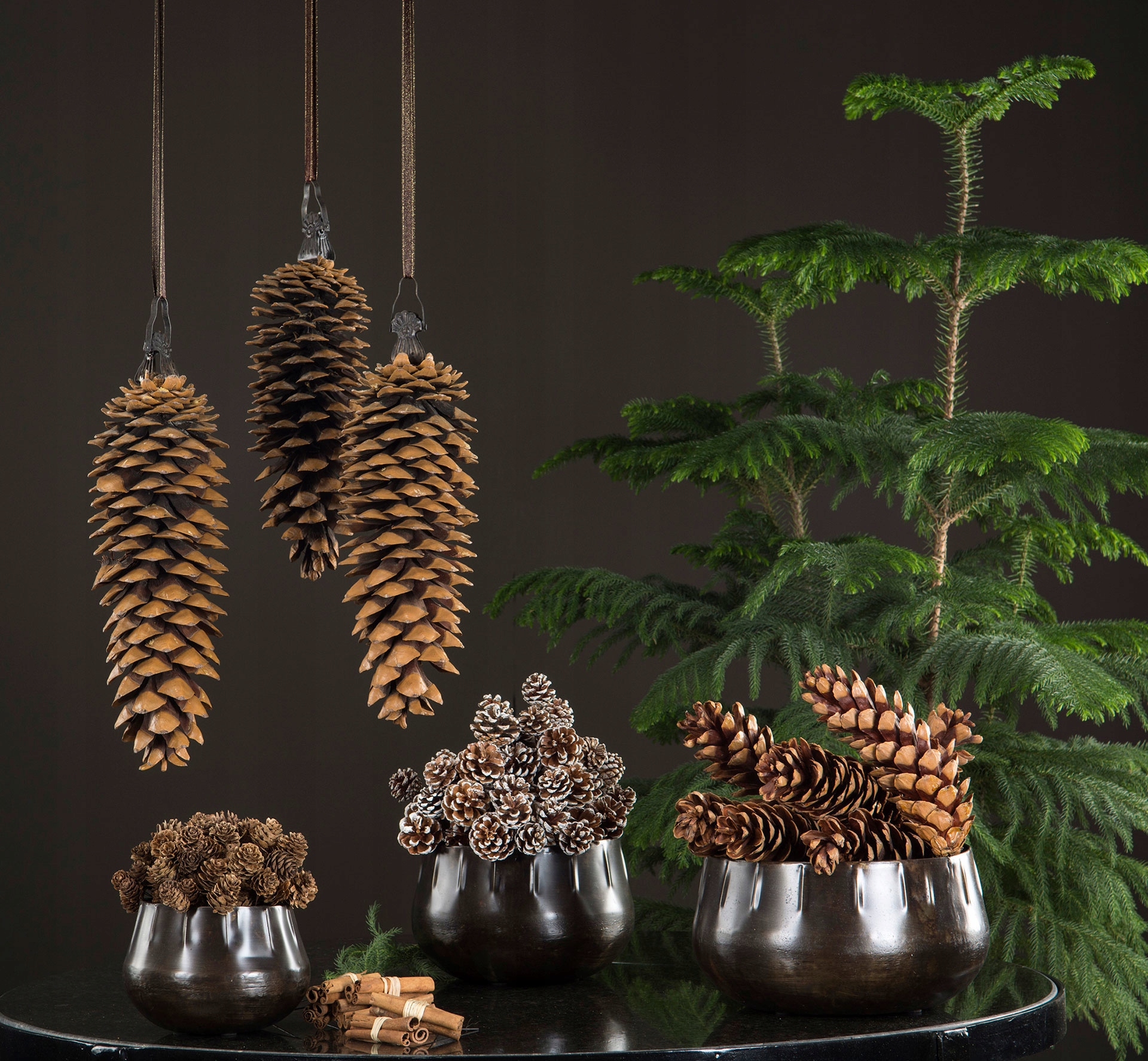 5 szt. OZDOBA SZYSZKI do stroików biała Kod producenta 14568