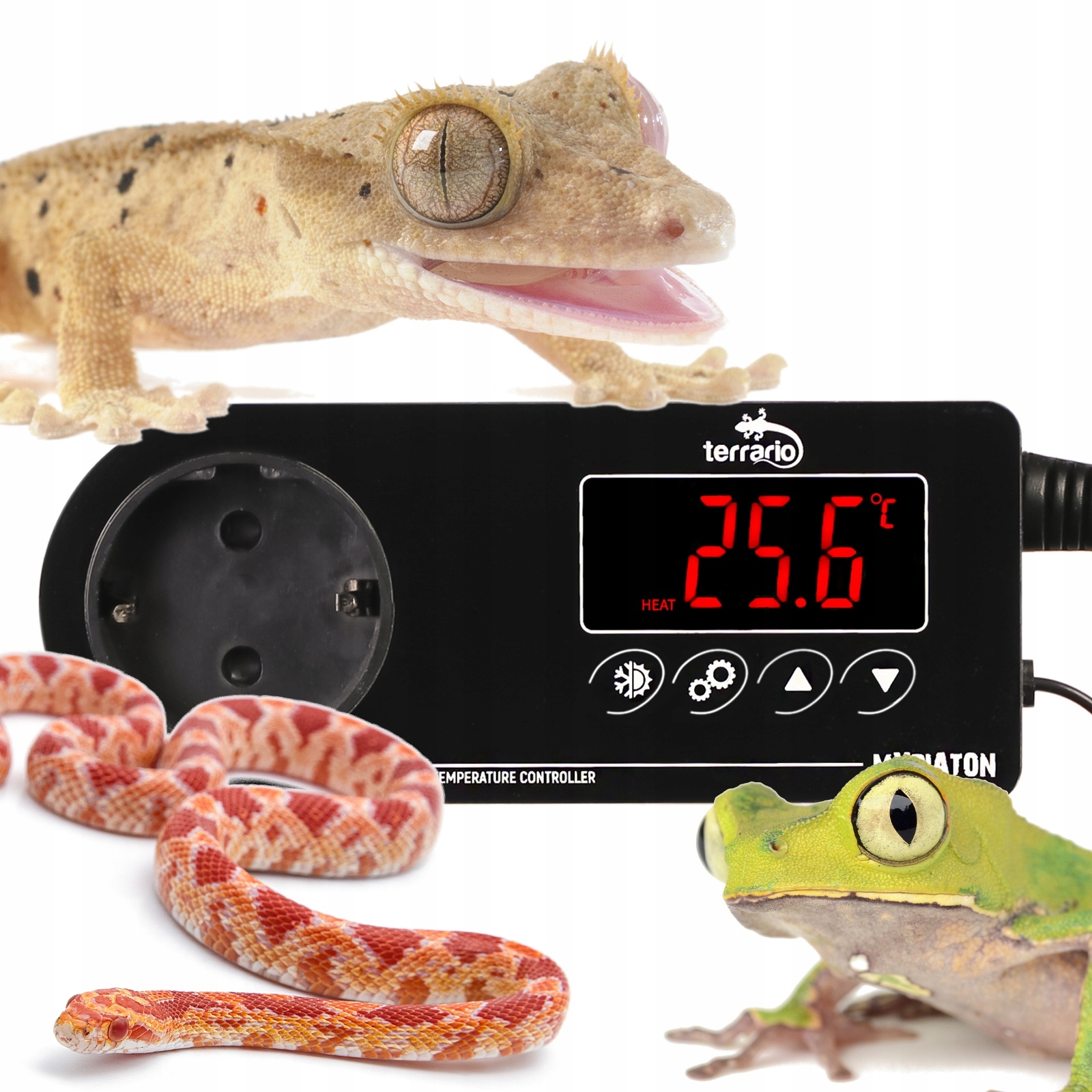 

Termostat Elektronicznydo Terrarium Myriaton