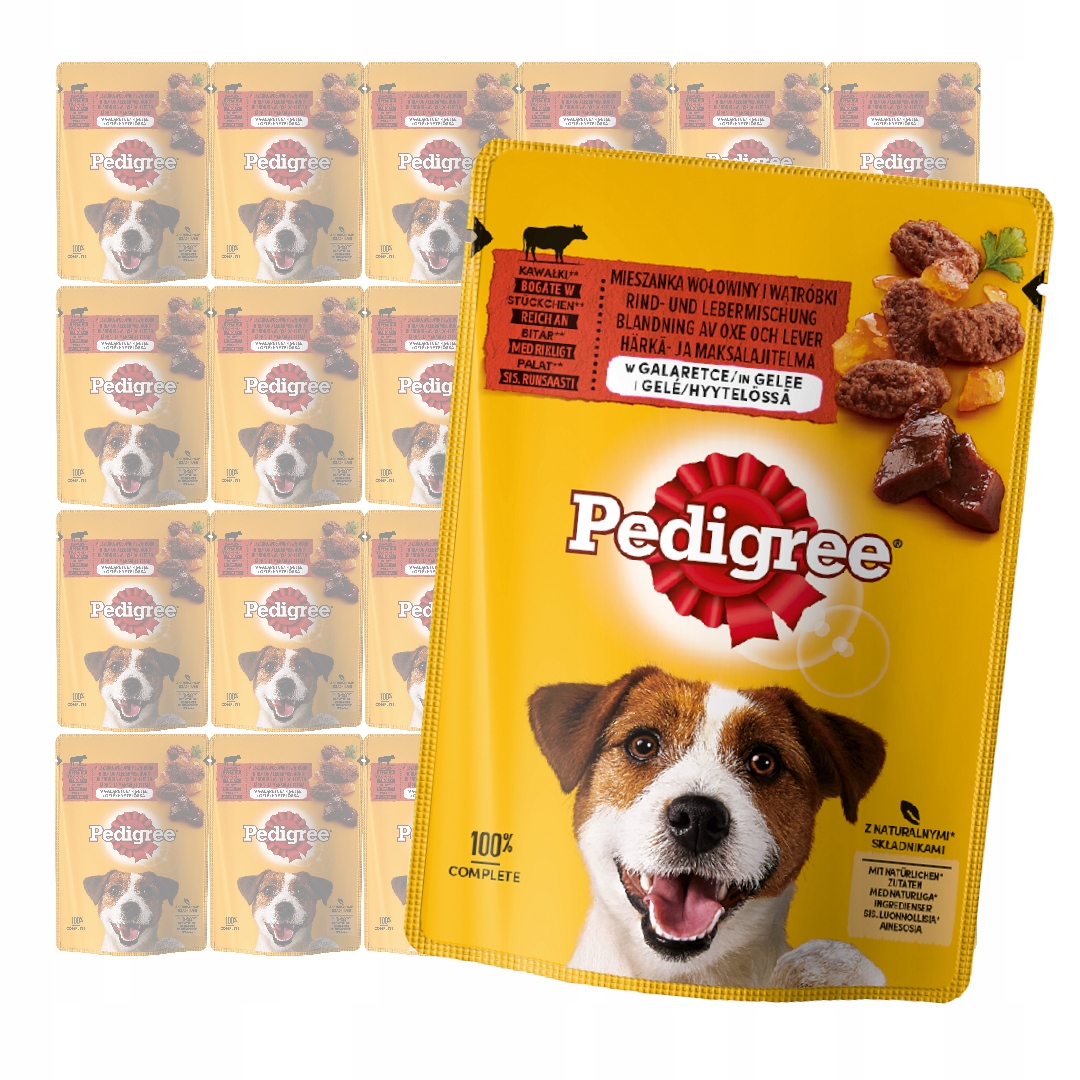 Levně Pedigree Vlhké Krmivo pro psa s hovězím masem a játry v želé 24x100 g