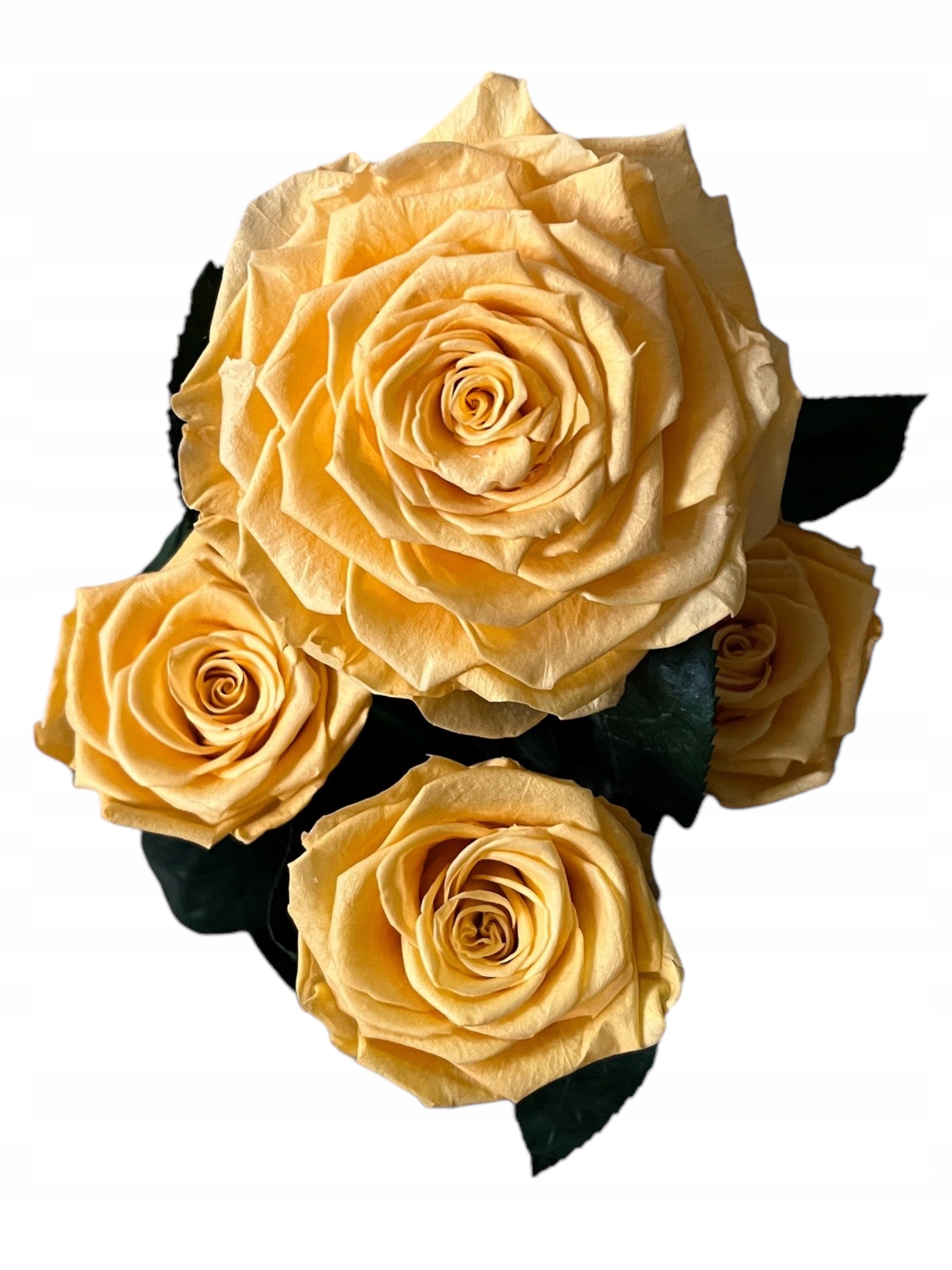 Flower Box Večné Ruže V Skle – Darček Pre Ňu