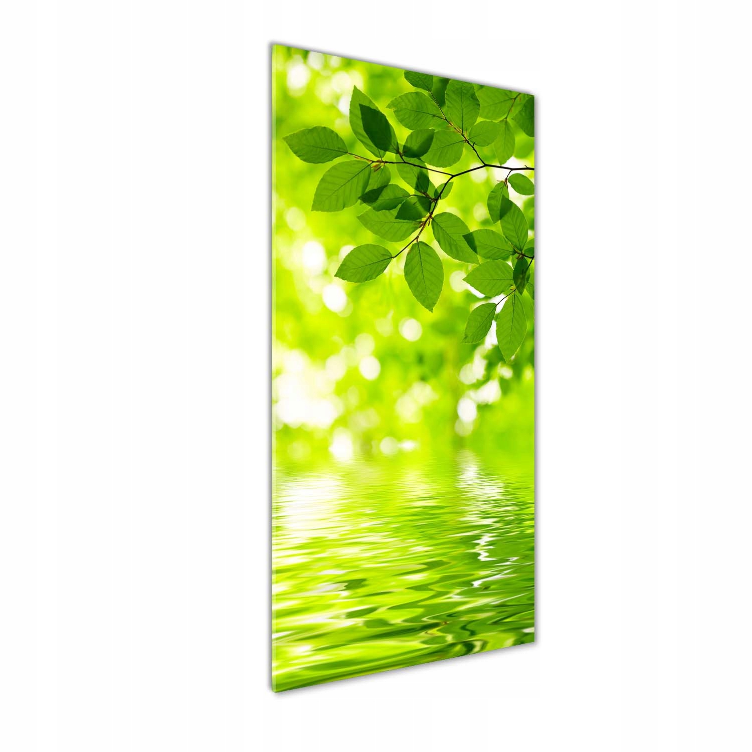

Foto obraz zdjęcie na szkle Zielone liście 50x125