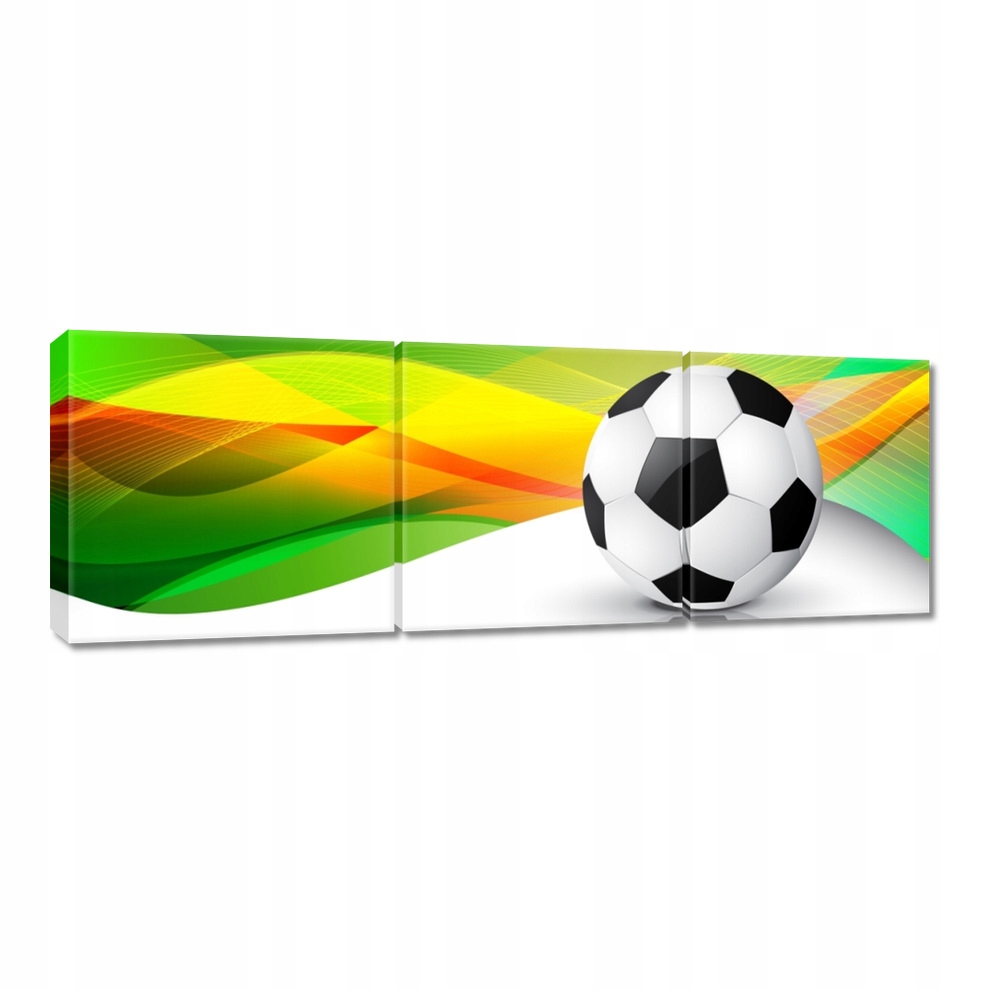 

Obrazy 120x40 Piłka nożna Football Noga