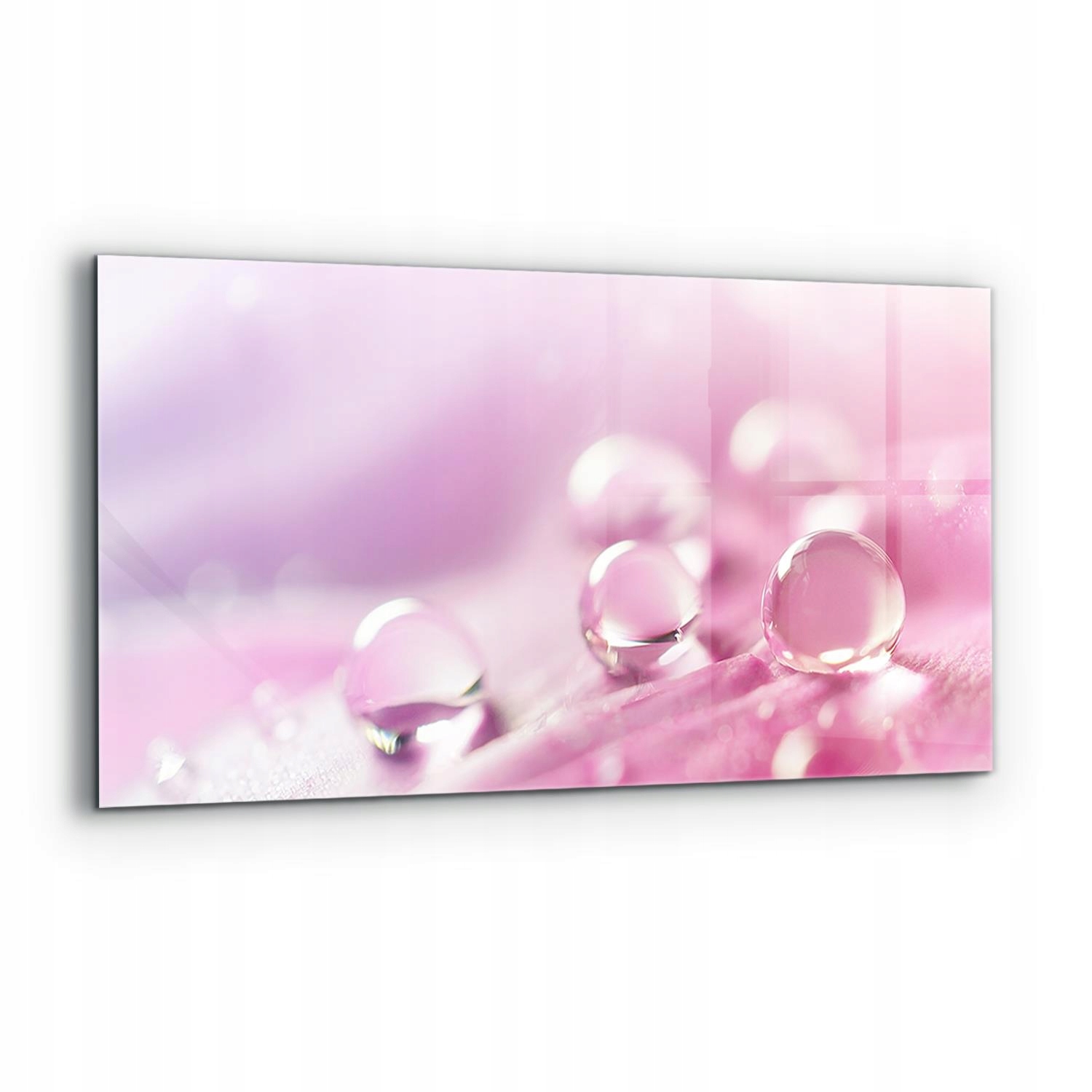 Panel lepidlo Kapky Rosy na růžovém květu 120x60