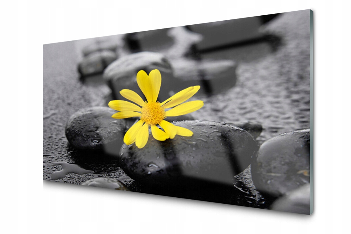 

Panel szklany Płytka Kwiat Roślina Spa 100x50