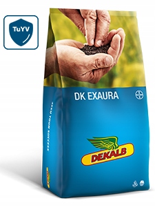 DEKALB EXAURA рапс озимы раствор семена рапса Buteo живописный Золотой цинк