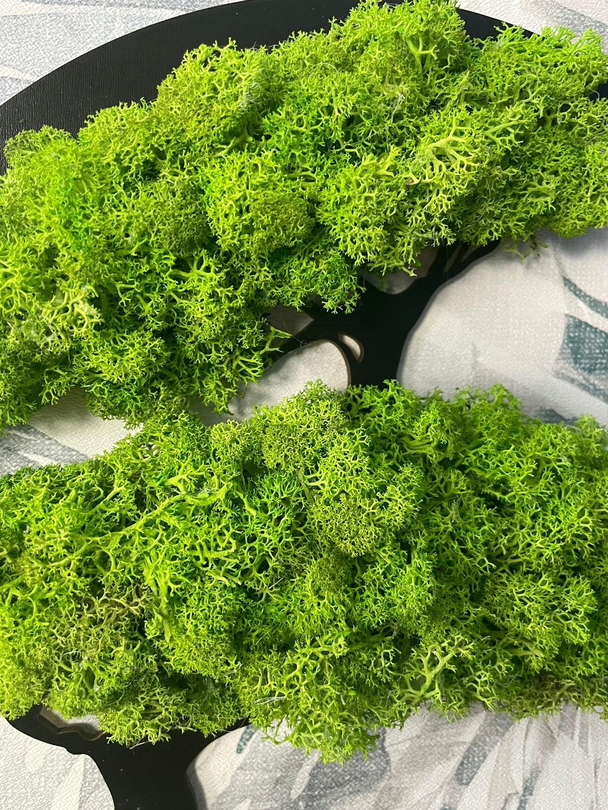 DRZEWO ŻYCIA BONSAI mech CHROBOTEK 40cm Kod producenta MECH-002