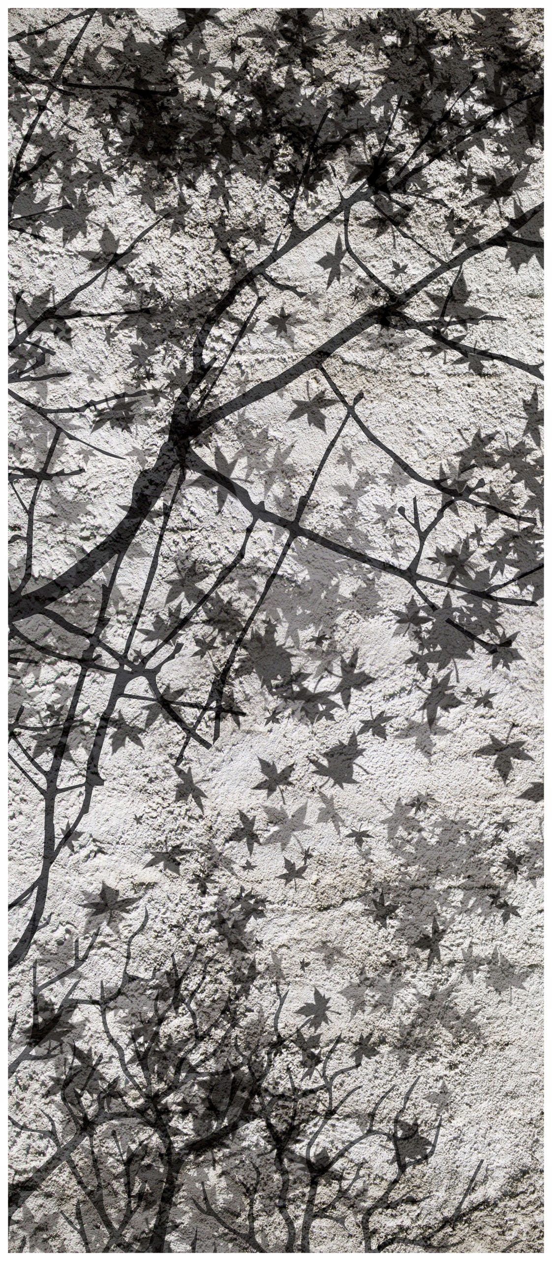 Samolepka Fototapeta Stíny listů a stromů abstrakce přírody 91x211