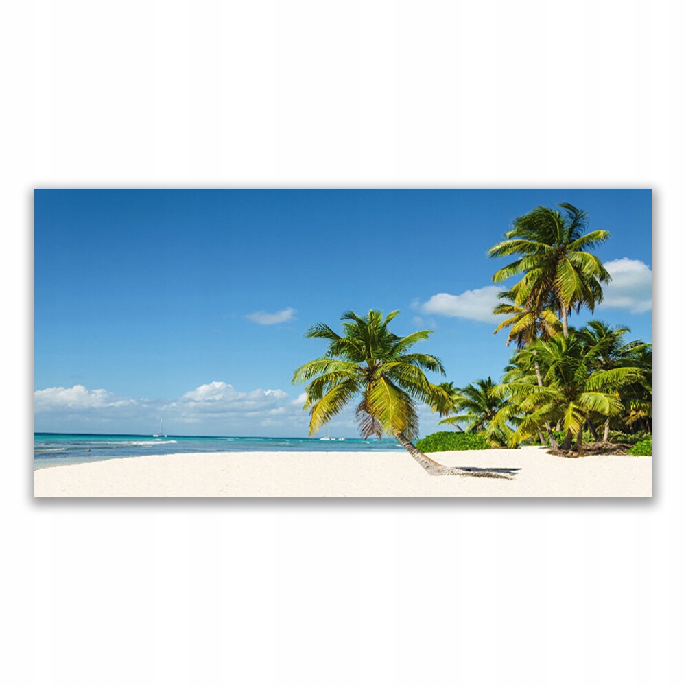 

Fotoobraz akryl 120x60 Plaża Palma Morze Krajobraz