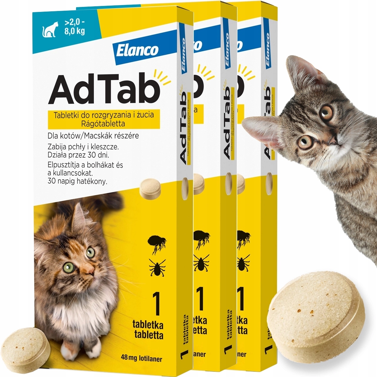 Tabletki na Kleszcze Pchły na 3 miesiące dla Kota od 2 do 8 kg masy ciała