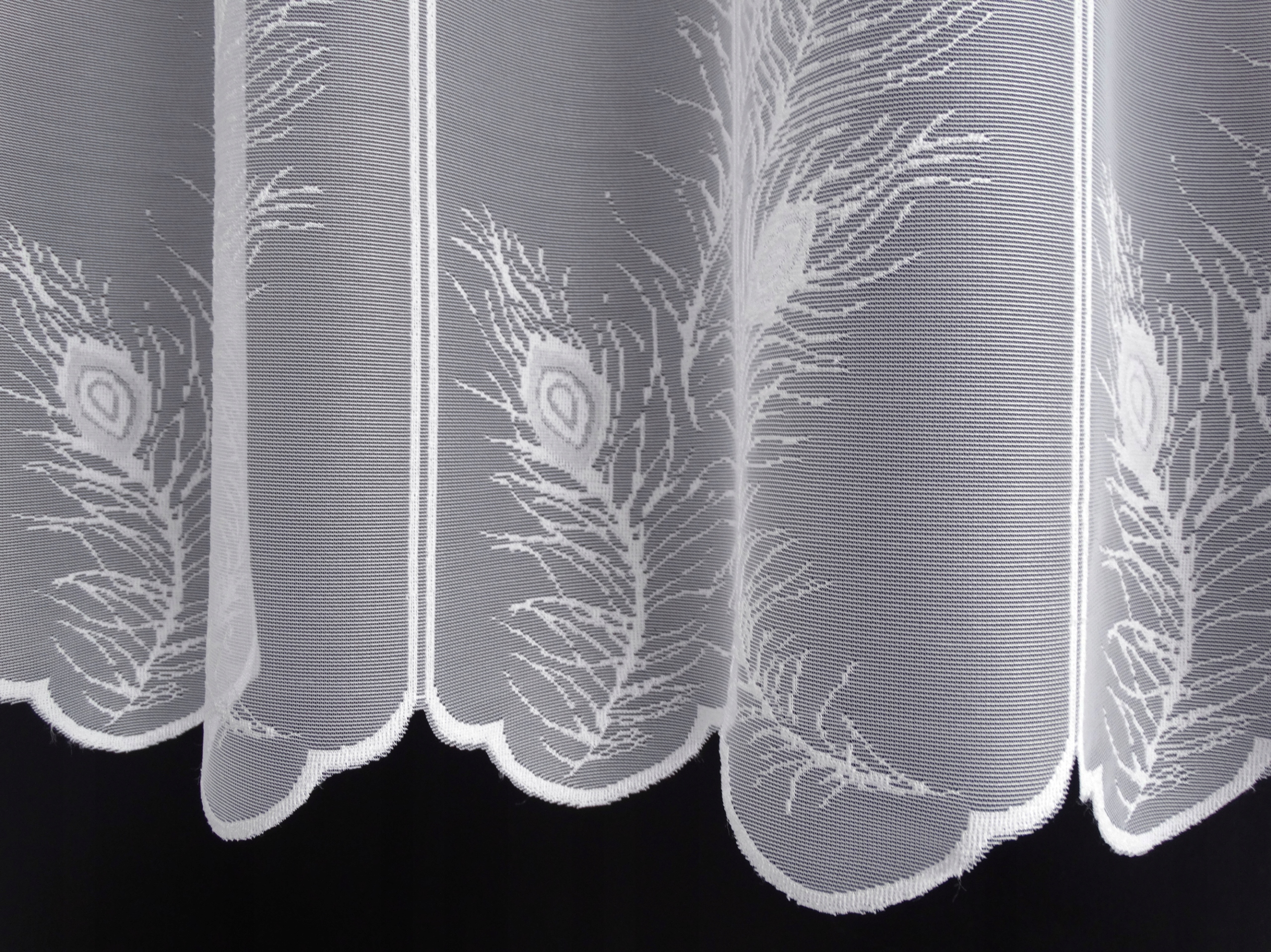 MG ZAZDROSTKA PIÓRKA biały 312470 wys 90cm polski