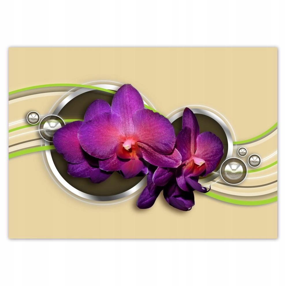 

Naklejki 70x50 Storczyki