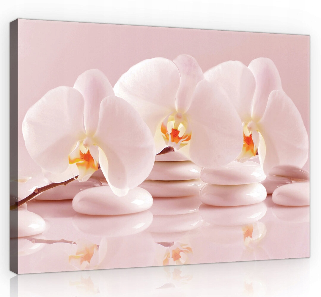 Obraz Na Plátně Canvas 100x75 Orchidej Orchidej