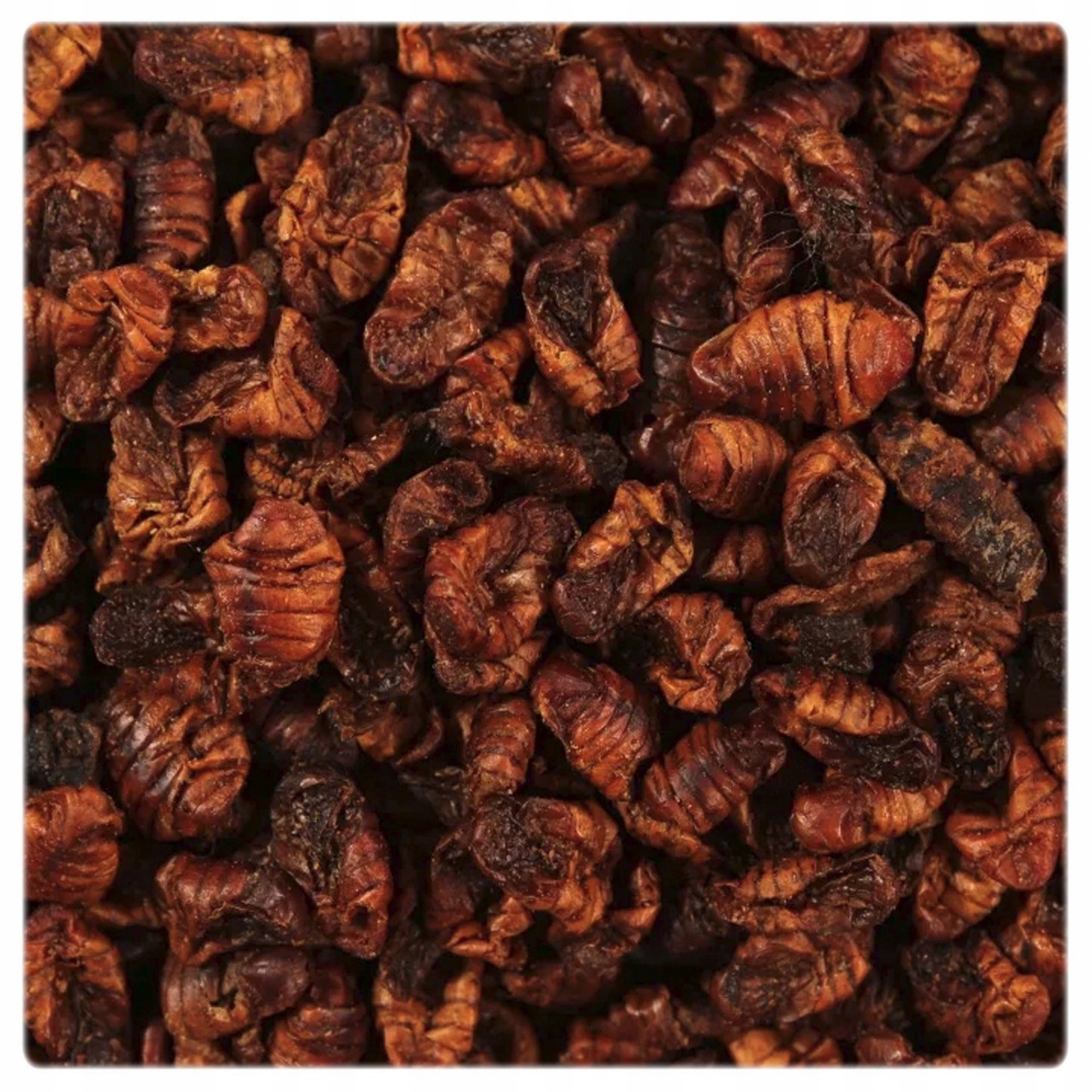 

Glopex Suszone Larwy Jedwabnika Morwowego 200g/1l