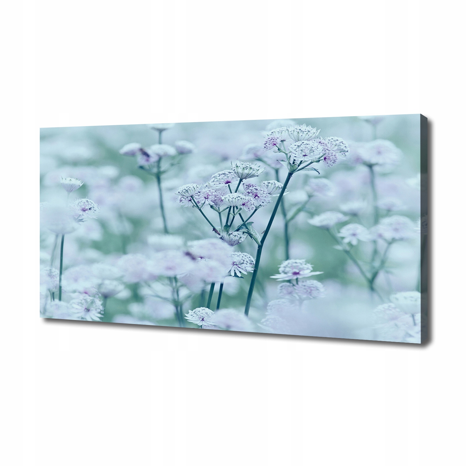 

Foto obraz na płótnie Jarzmianka większa 140x70 cm