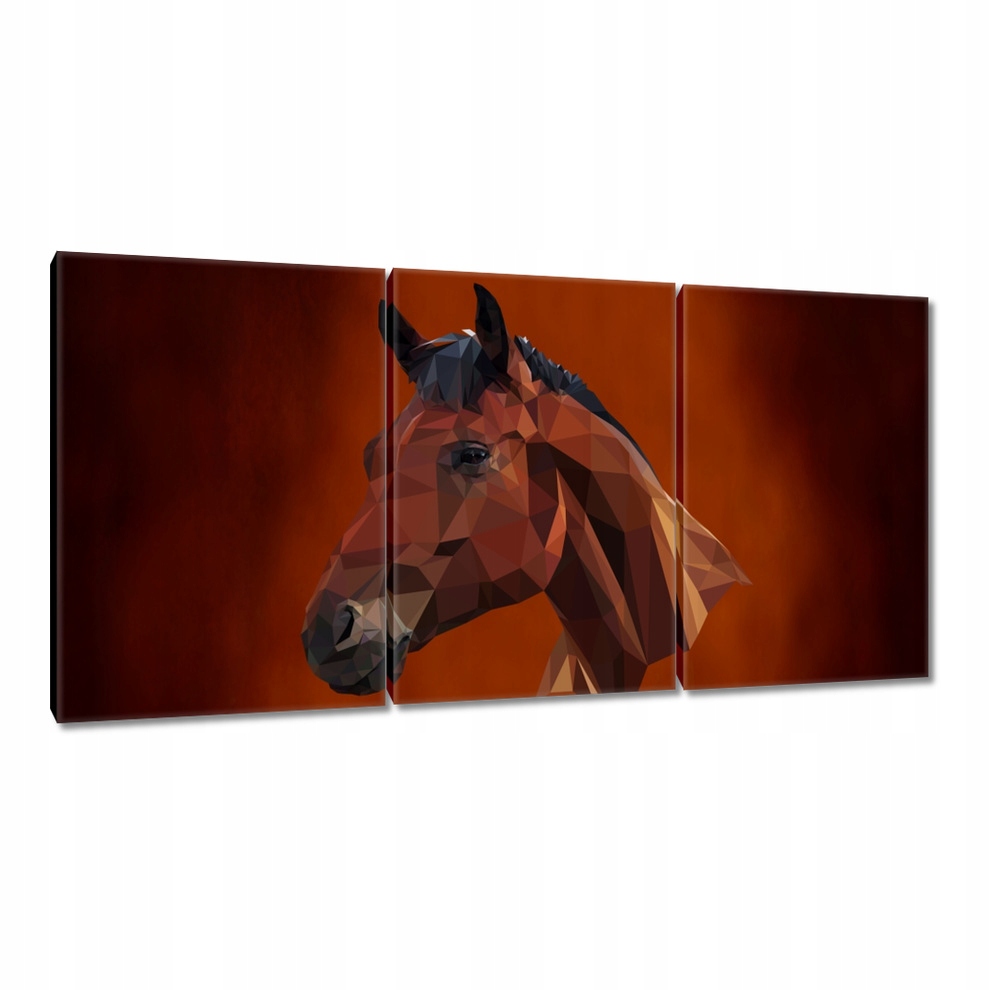 

Obrazy 120x60 Łeb konia Koński Łeb