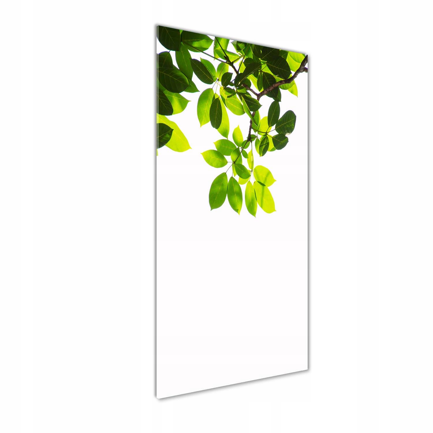 

Foto obraz akryl do salonu Zielone liście 50x125cm