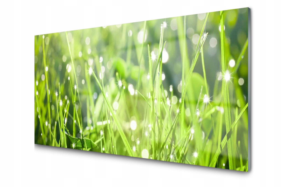 

Panel szklany Płytka Trawa Roślina 100x50
