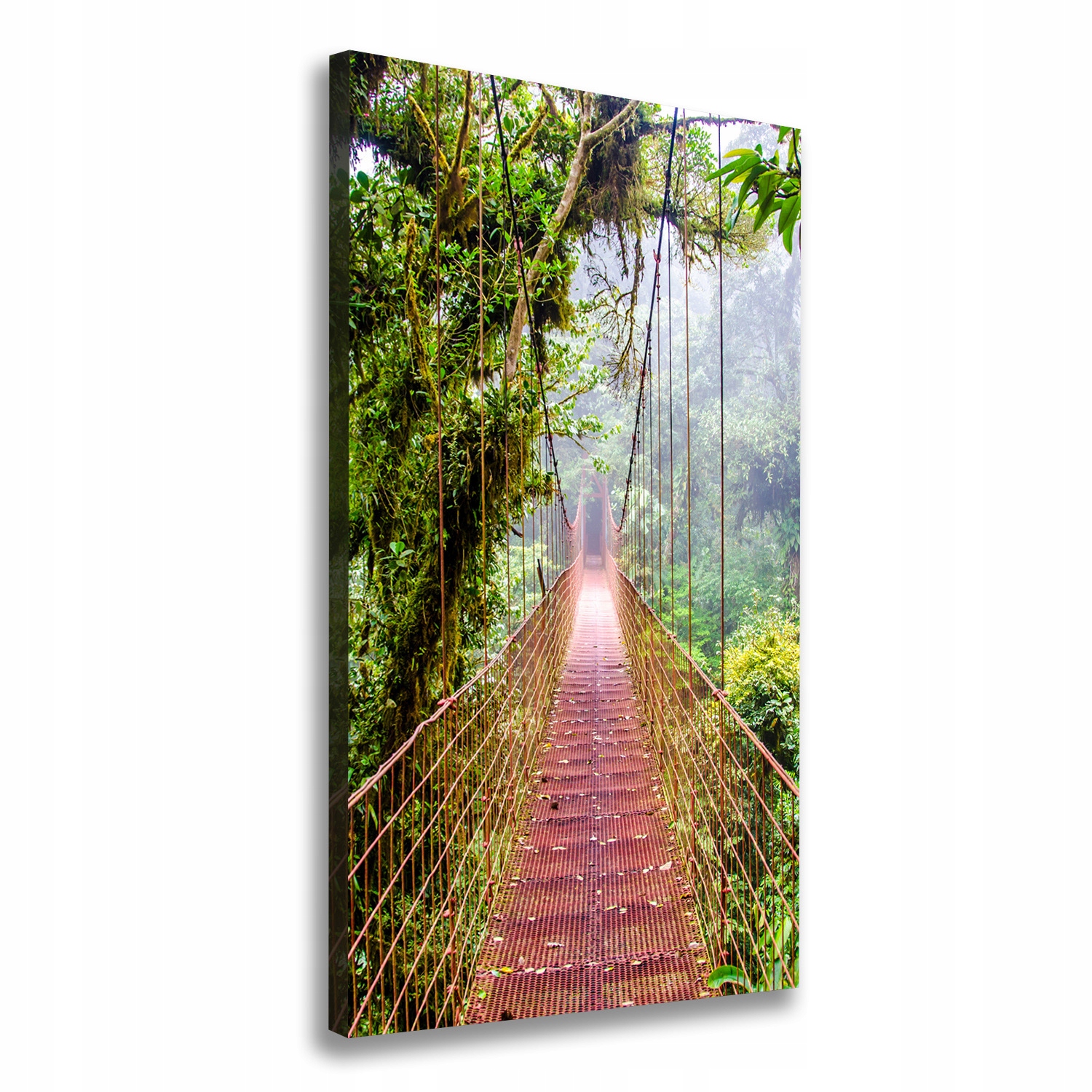 

Foto obraz canvas do salonu Most wiszący 70x140