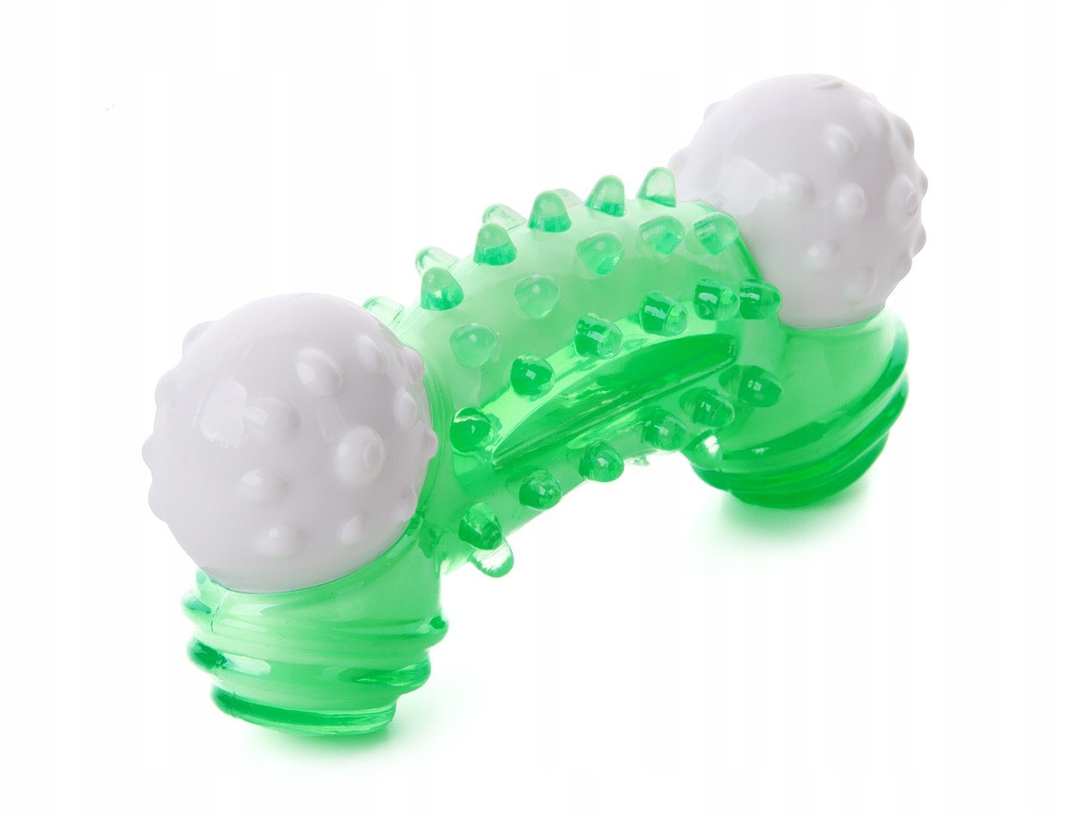 

Jk Animals Kość dental 12,5cm zielona