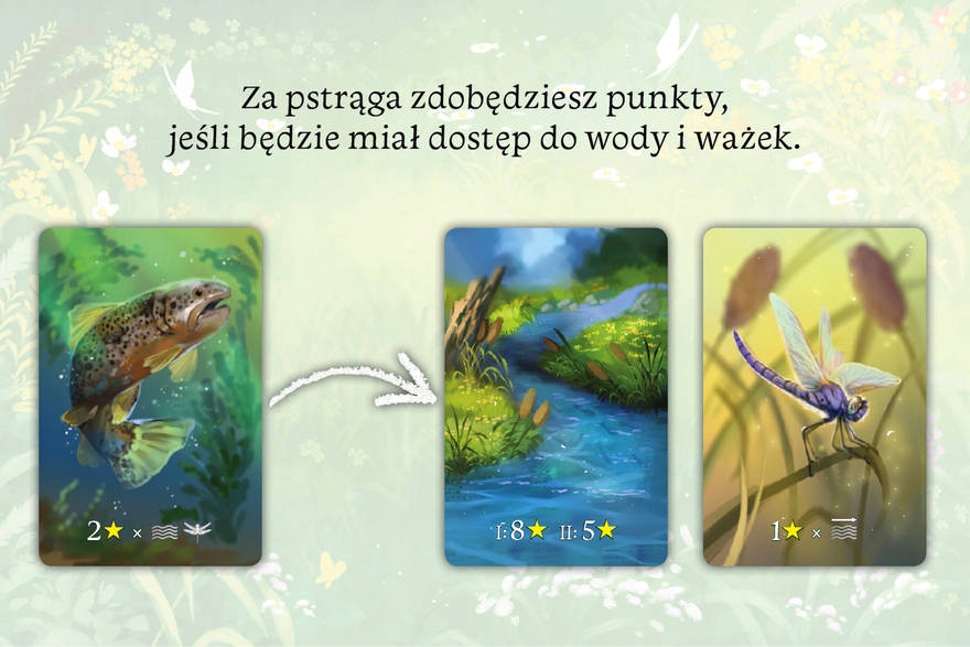 Gra Ekosystem Nazwa Ekosystem