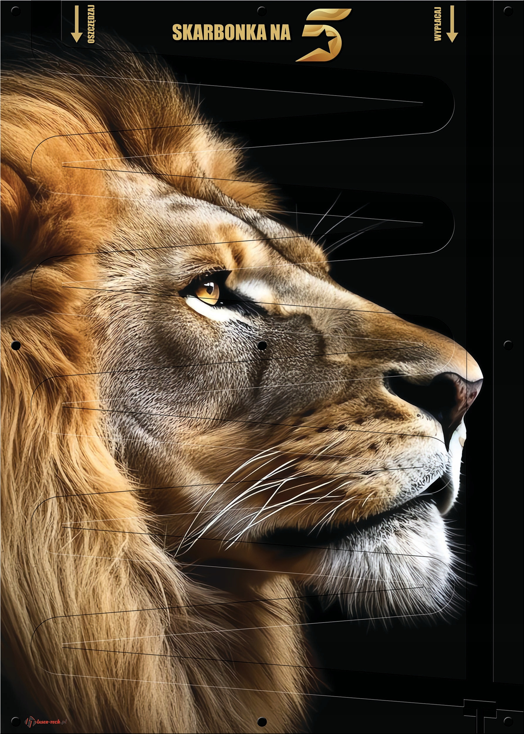 Pokladna Na Peníze 5 Pln XXL nástěnná 50x70 cm Obrázek LV Dekorace