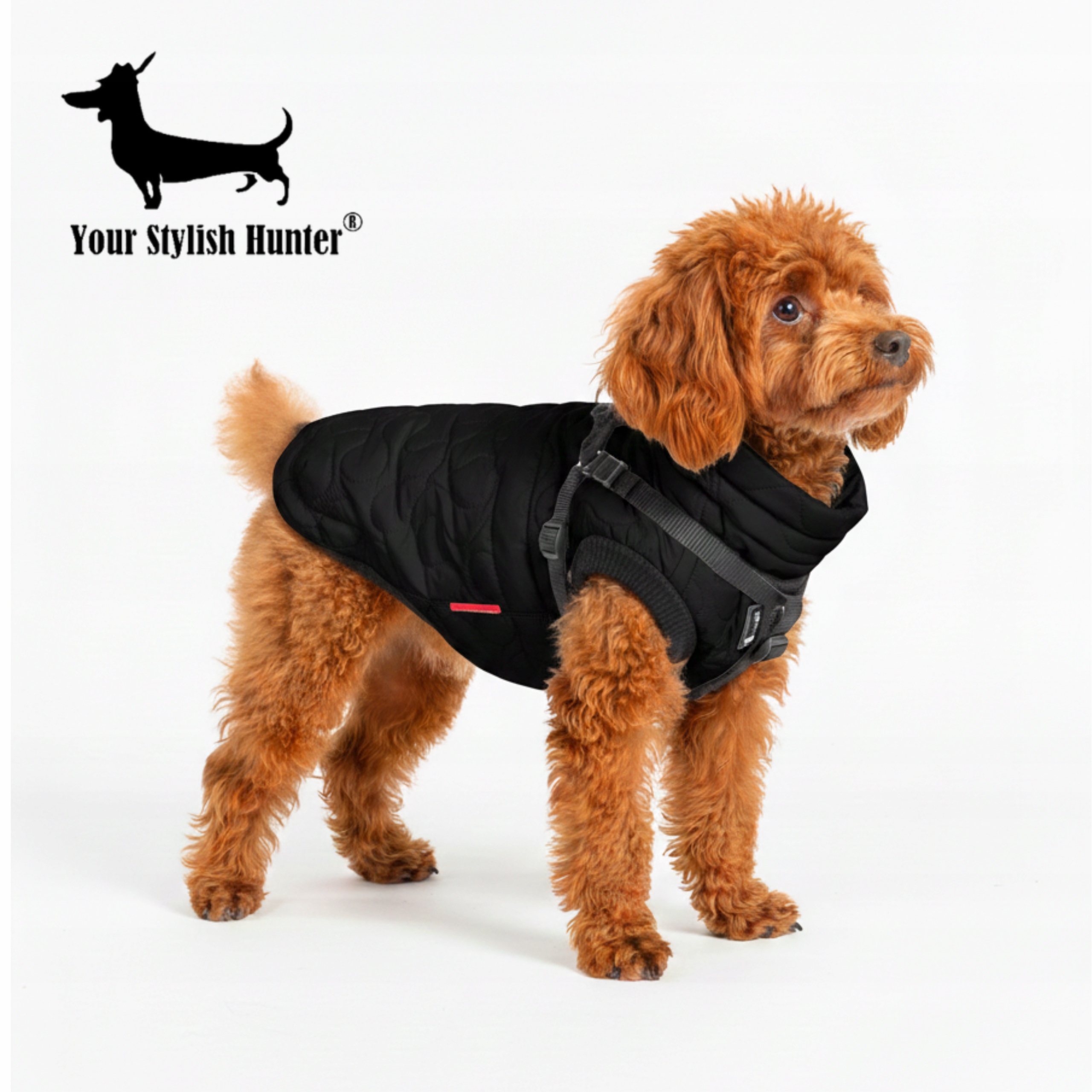 Levně Teplá, lehká zateplená bunda pro psa s ramenními popruhy, voděodolná, černá L