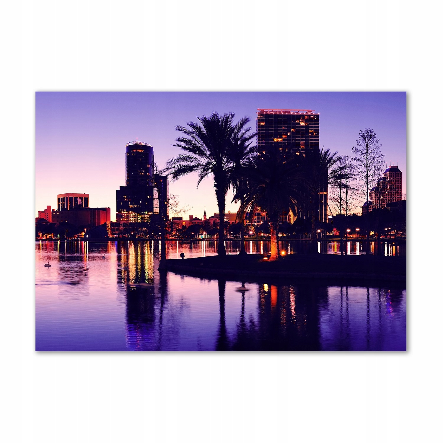 

Foto obraz szkło akrylowe Orlando Usa 100x70 cm