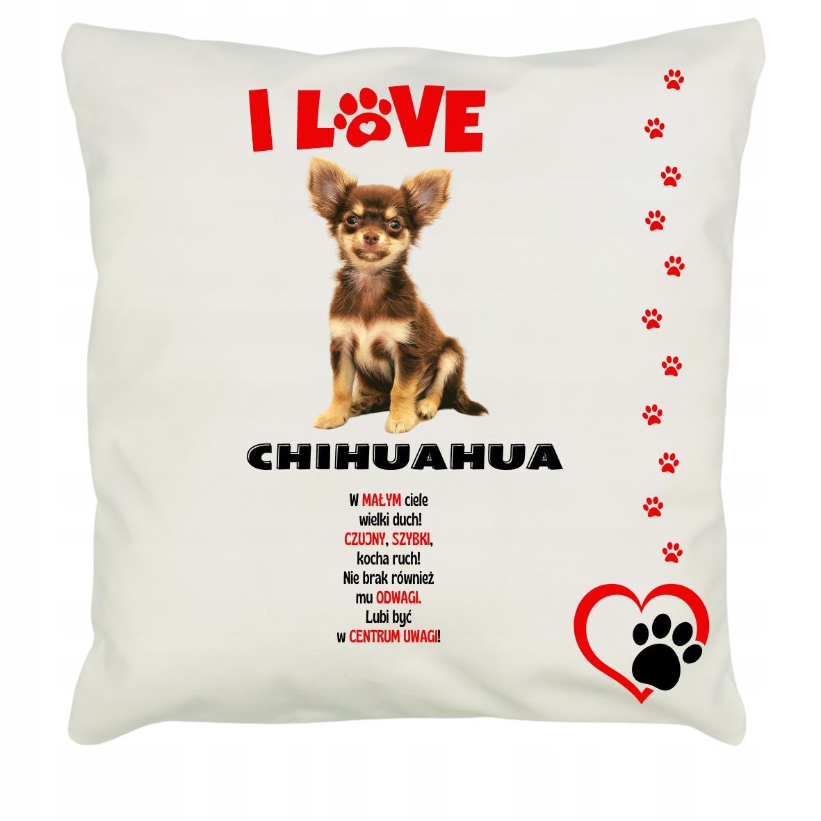 

Poduszka Minky Rasy Psów Chihuahua 2196