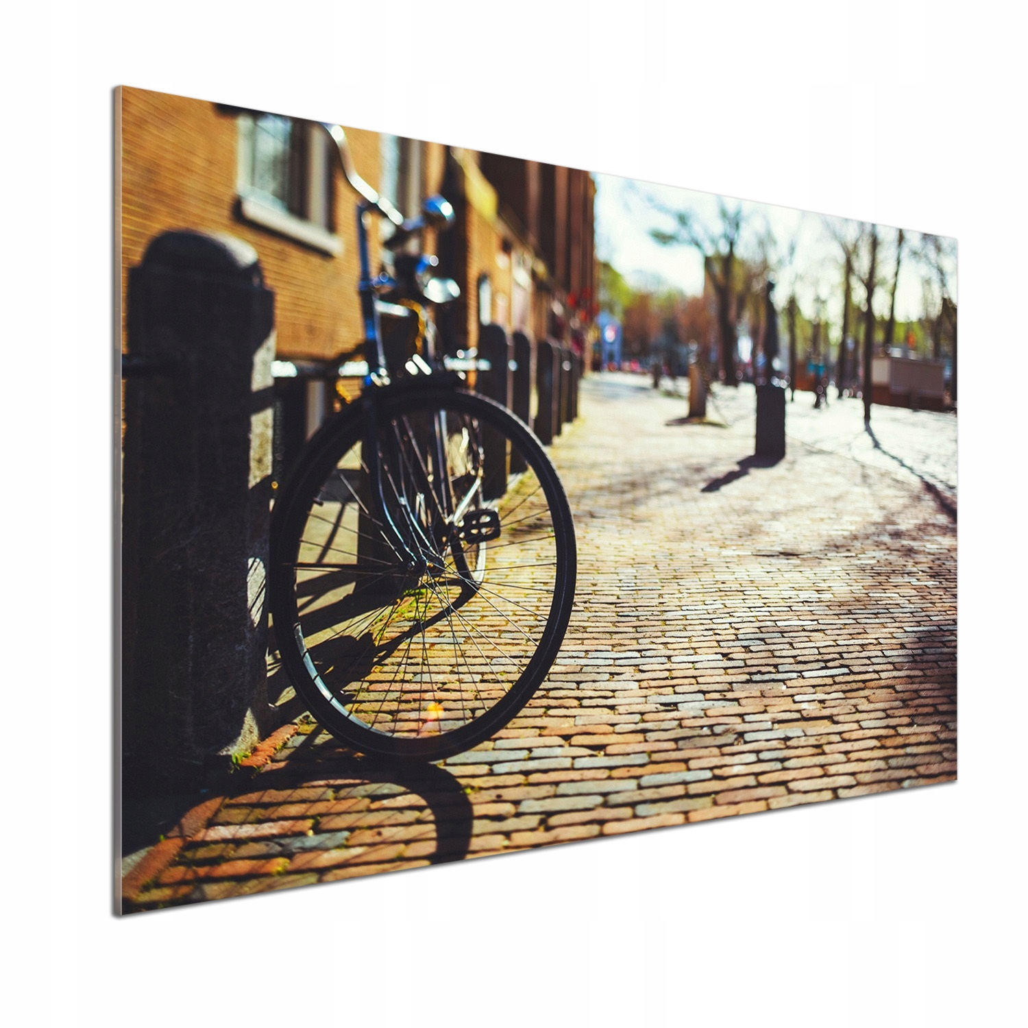 Lacobel panel Kolo v Amsterdamu 100 x 70 cm Lepidlo