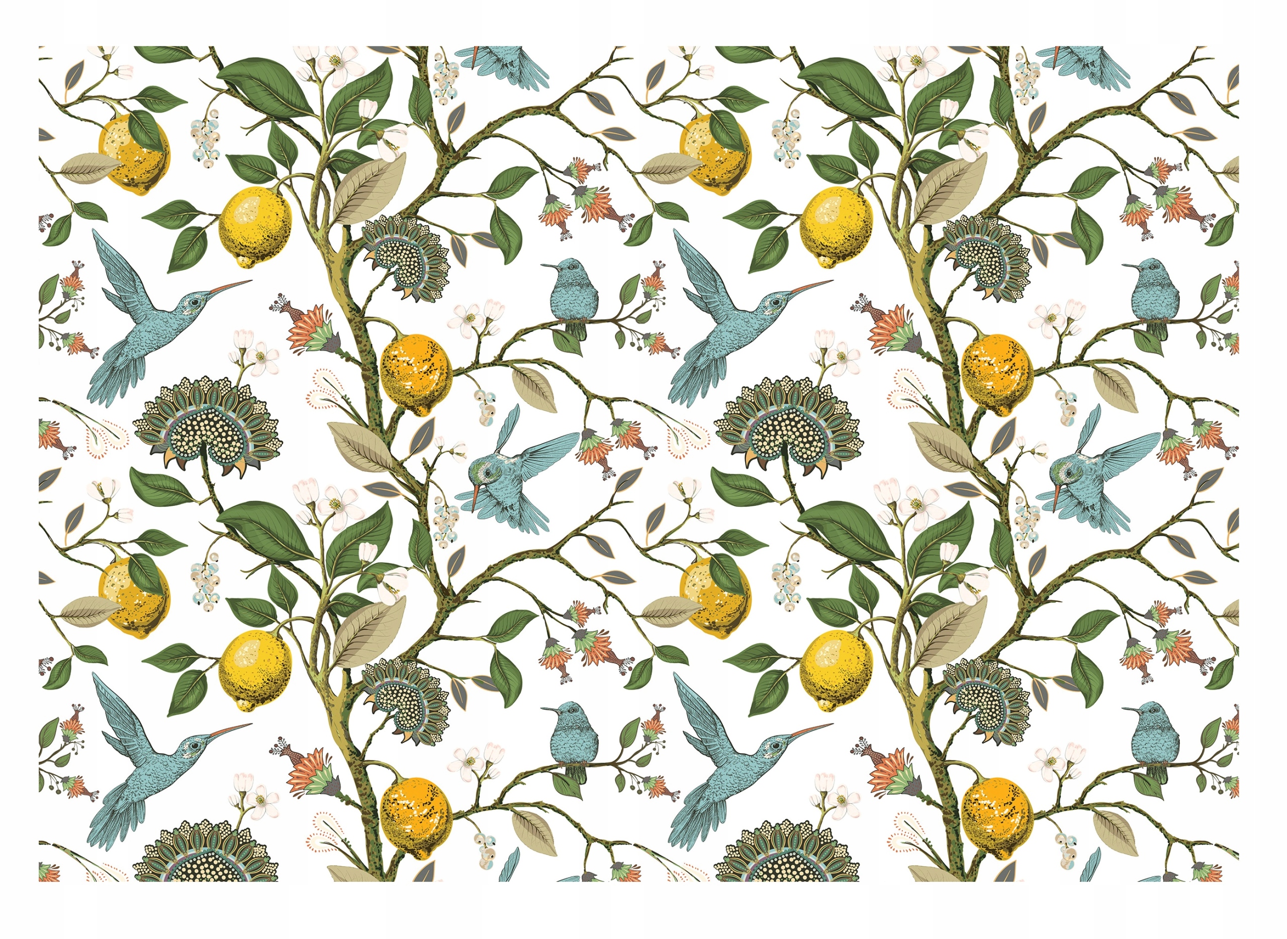 Fototapeta Do Kuchyně Ovoce Citrony Ptáci 254x184