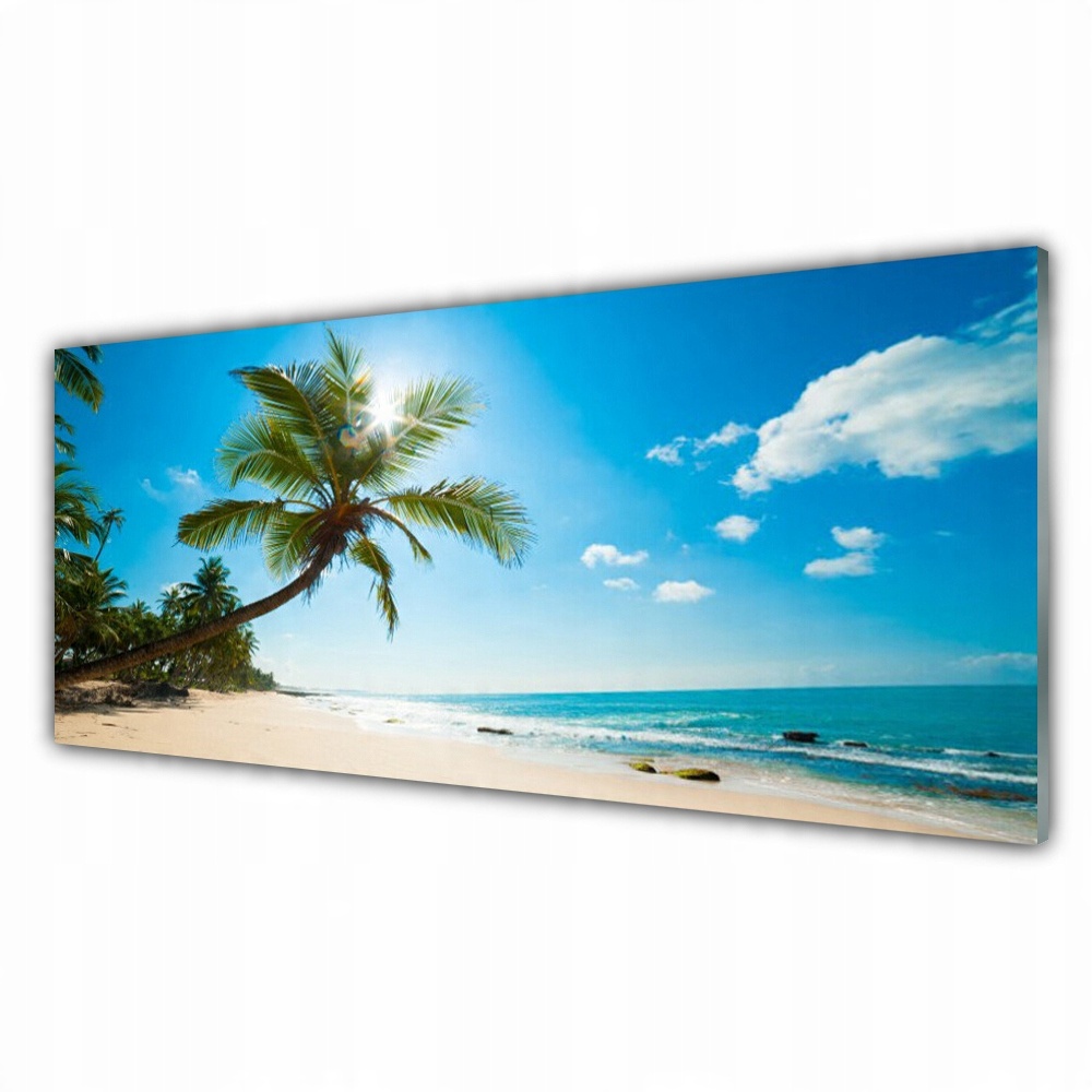 

Obraz akrylowy 125x50 Palma Drzewo Plaża Krajobraz