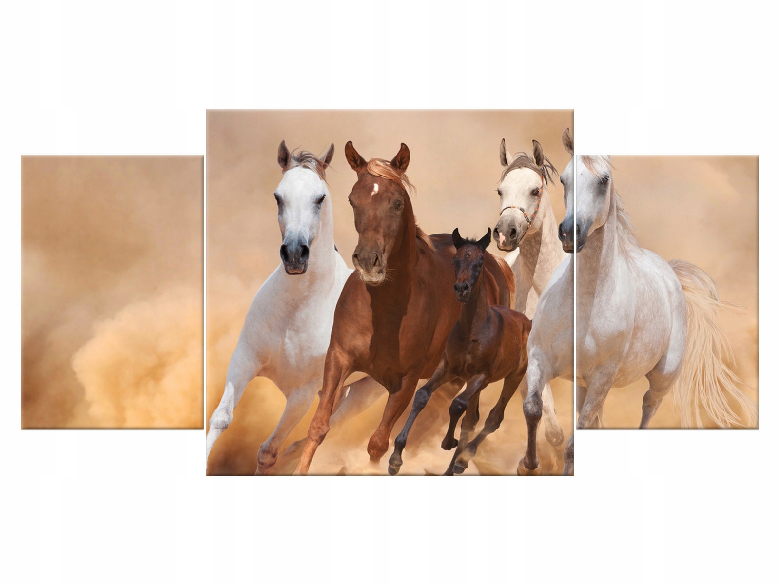 

Obraz Konie w galopie 80x40 Pejzaż Zwierzęta