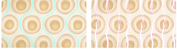 WAGA ŁAZIENKOWA XIAOMI ANALITYCZNA INTELIGENTNA MI BODY SMART POMIAR PRO Materiał obudowy tworzywo sztuczne