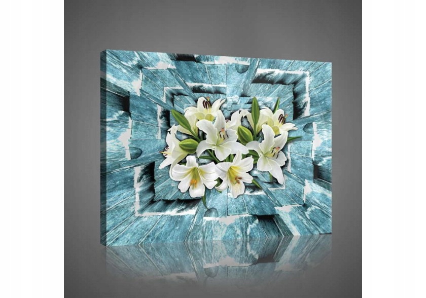 Obraz 100x75 Lilie abstrakce geometrie svěžest elegance klid hloubka