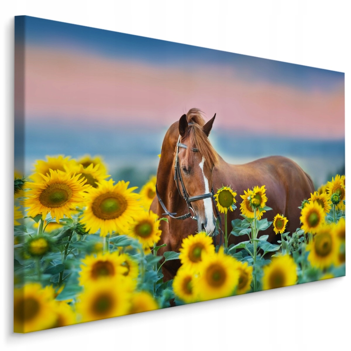 Obraz Na Plátně Kůň Květiny Slunečnice 3D 120x80