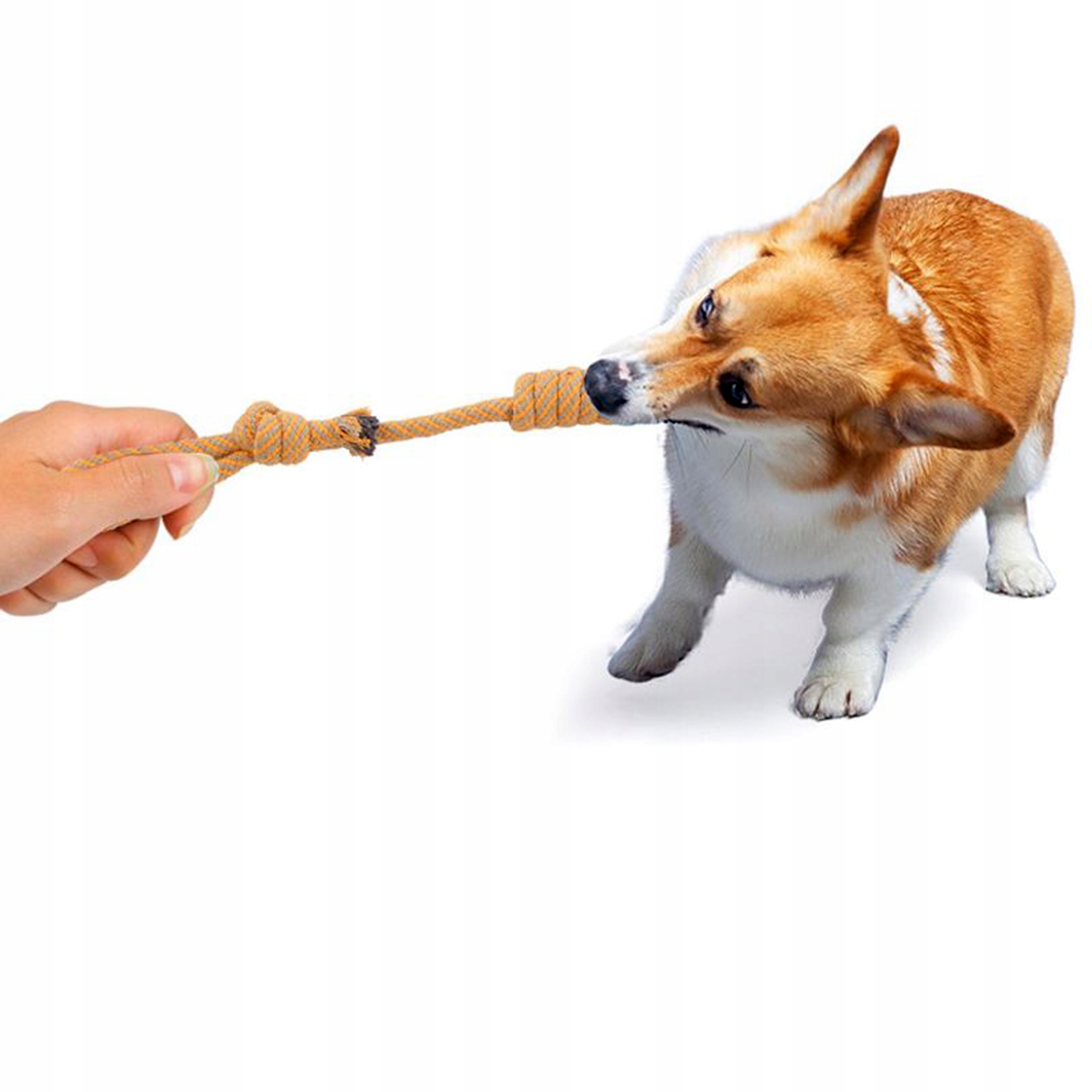 ab6ad3b946c1b9e74df5a1f32841