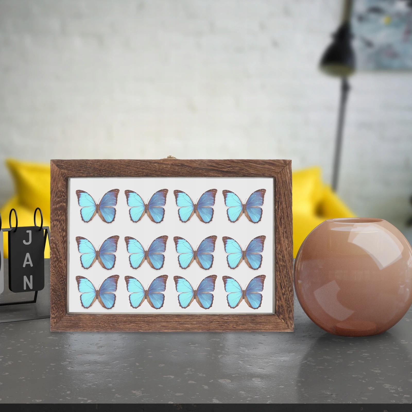 Pudełko na okazy owadów Gablota do terrarium Rodzaj mały fizyk