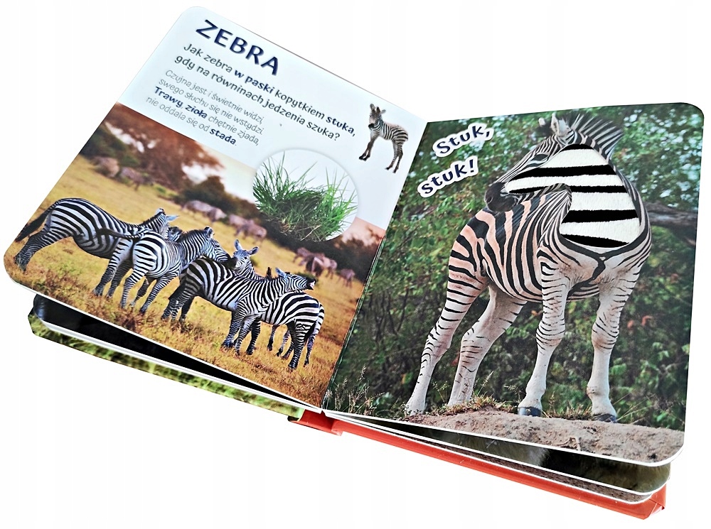 KSIĄŻECZKA KSIĄŻKA POGŁASZCZ ZWIERZĘTA ŚWIATA Materiał karton tkanina inny