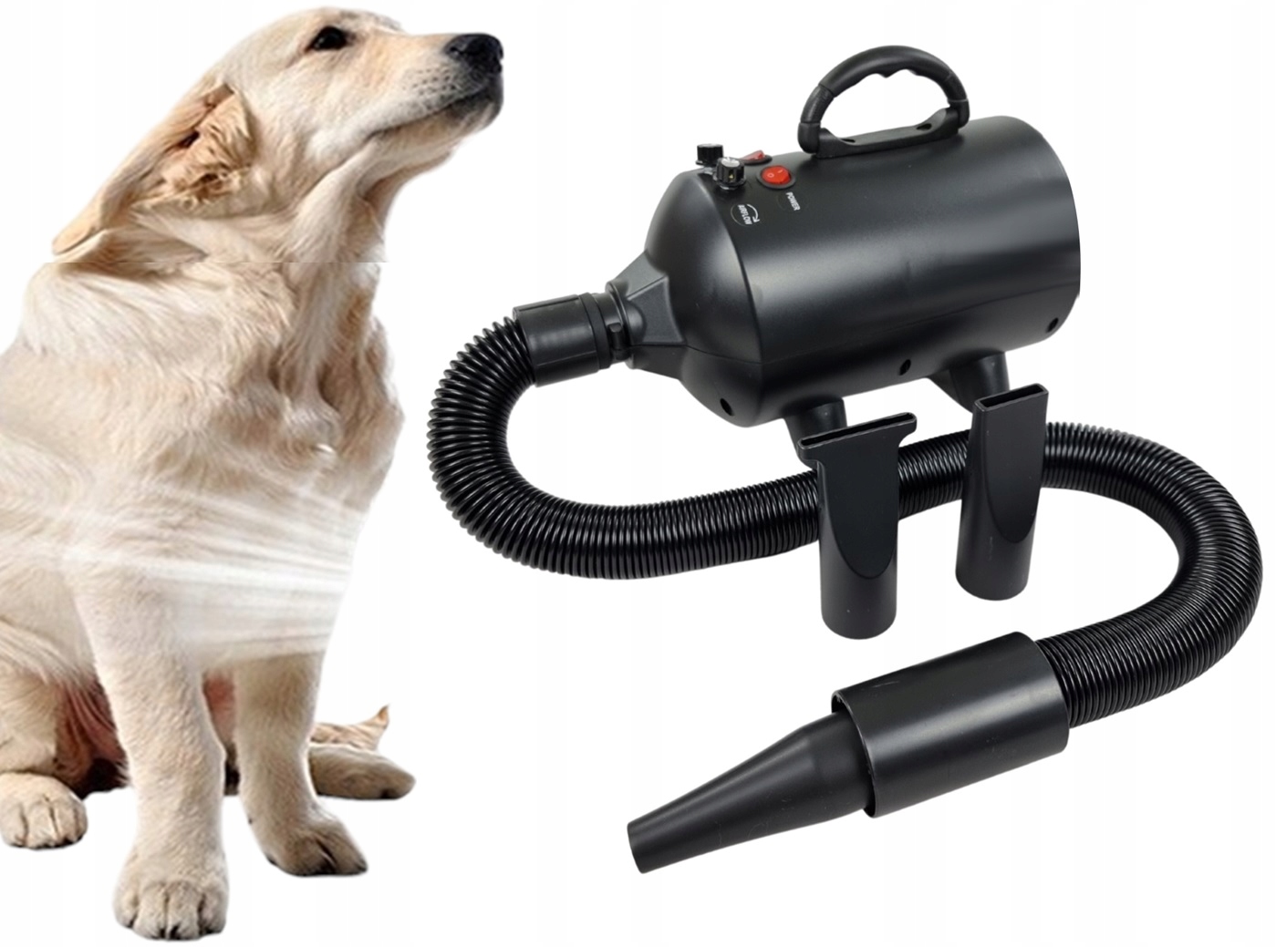 Levně Sušička Pro Psy A Kočky 3000 W Výkonná