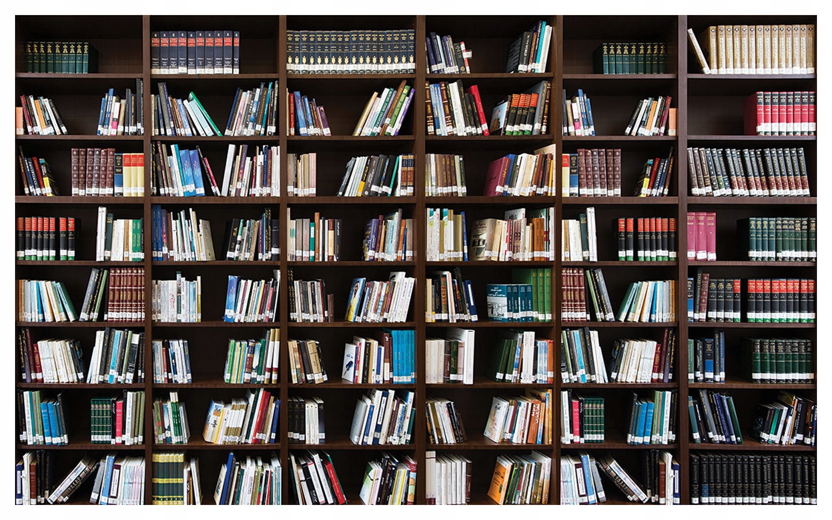 Fototapeta Police s knihami vinyl 254x184 Knihy Klasika Knihovna lepidlo