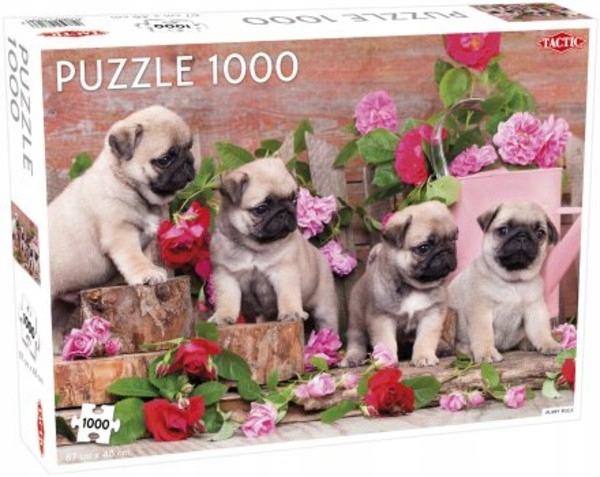 

Puzzle Małe Mopsy 1000 elementów