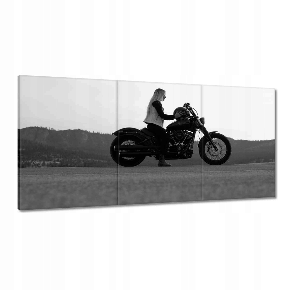 Obrazy 180x90 Harley Davidson Motocykel