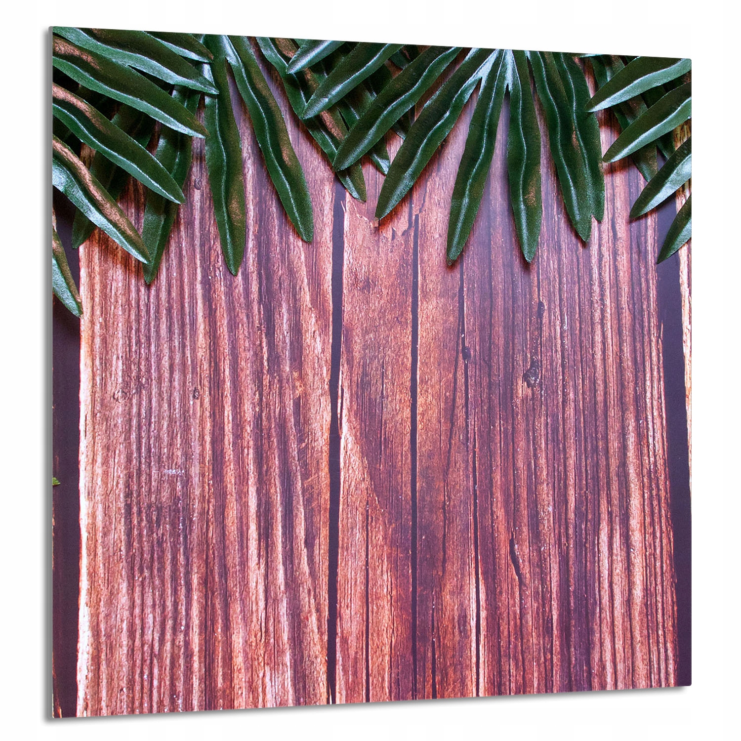 Skleněný Panel Do Kuchyně 60x65 Listy Tvrzené Sklo