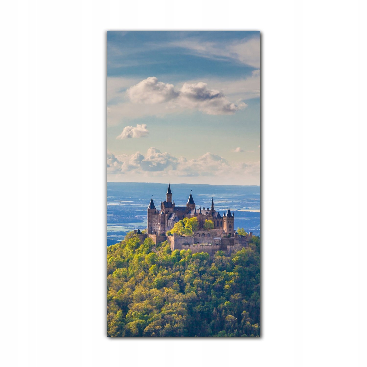 

Foto-obraz na szkle nowoczesny 60x120 Niemcy zamek