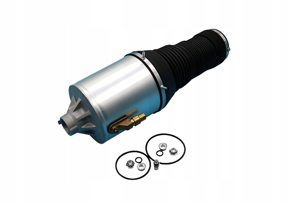 Амортизатор воздуха Вика 66160001701