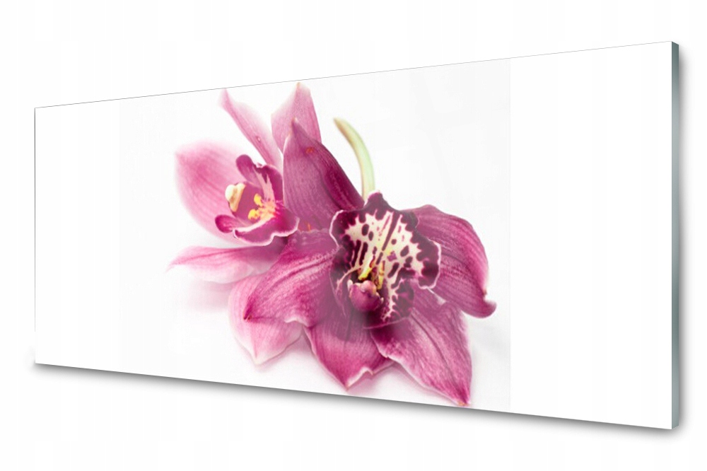 

Panel szklany do kuchni Kwiaty Roślina 125x50