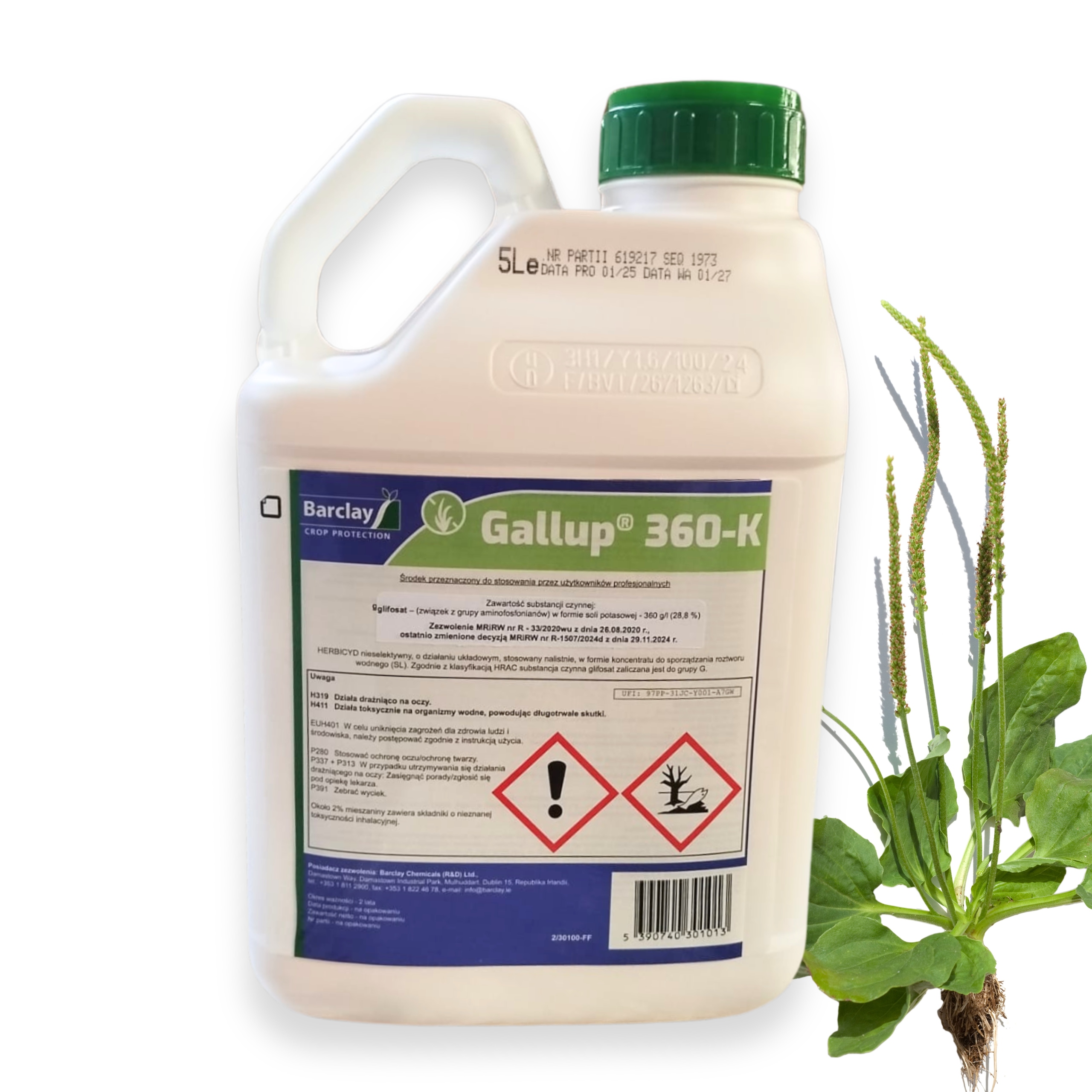 Gallup 360-K 5L Herbicyd Koncentrat Środek Na Chwasty Babka Zwyczajna