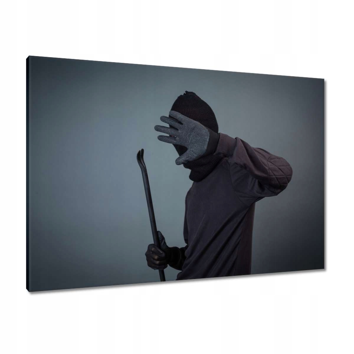 Obrazy 100x70 Zloděj