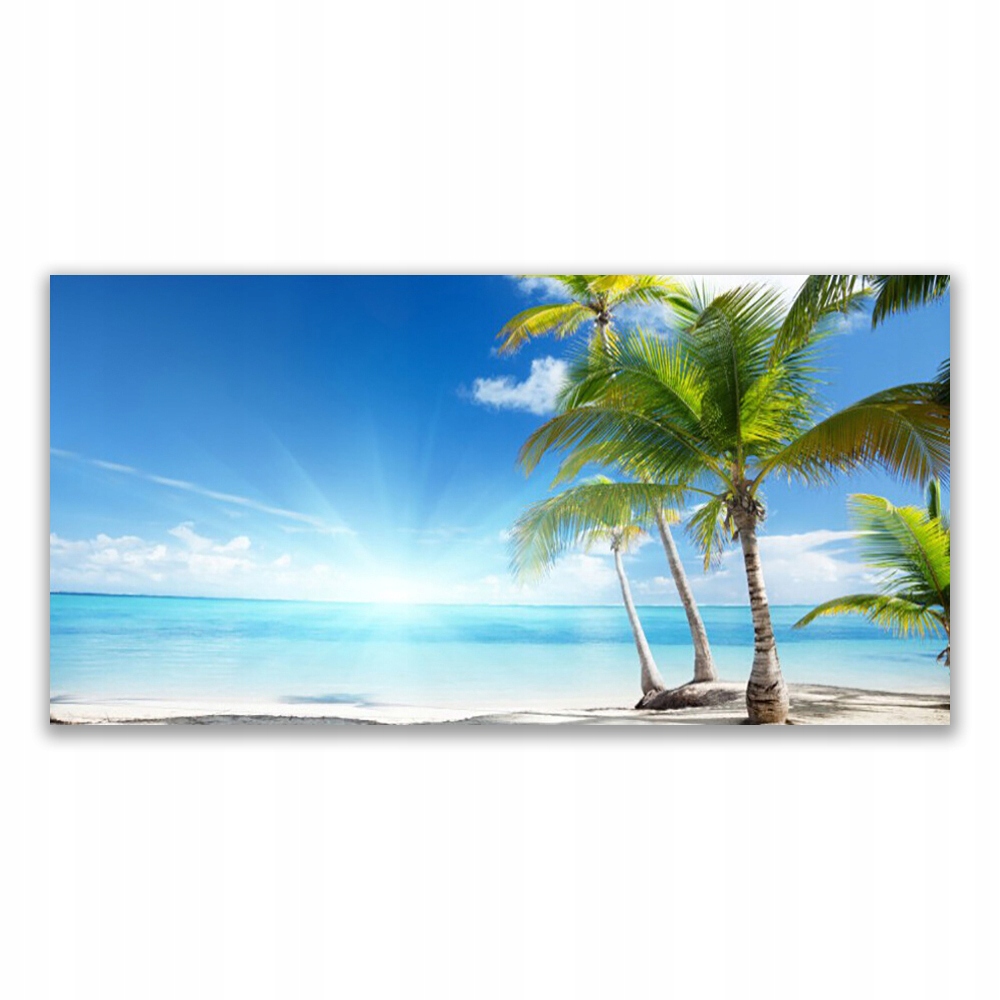 

Obraz akrylowy 120x60 Palma Drzewo Morze Krajobraz
