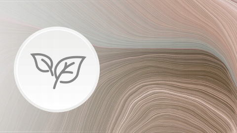 LOVI TALERZYK TALERZYKI DLA NIEMOWLĄT TAMARILLO x2 Kolor dodatkowy czerwony